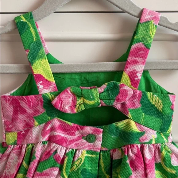 NWT Janie and Jack Baby Girl Rose Pleated Pink & Green Dress Size 3-6 Months - Picture 7 of 9